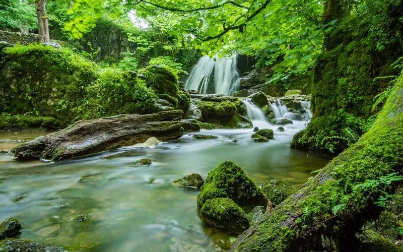独特高效可靠性